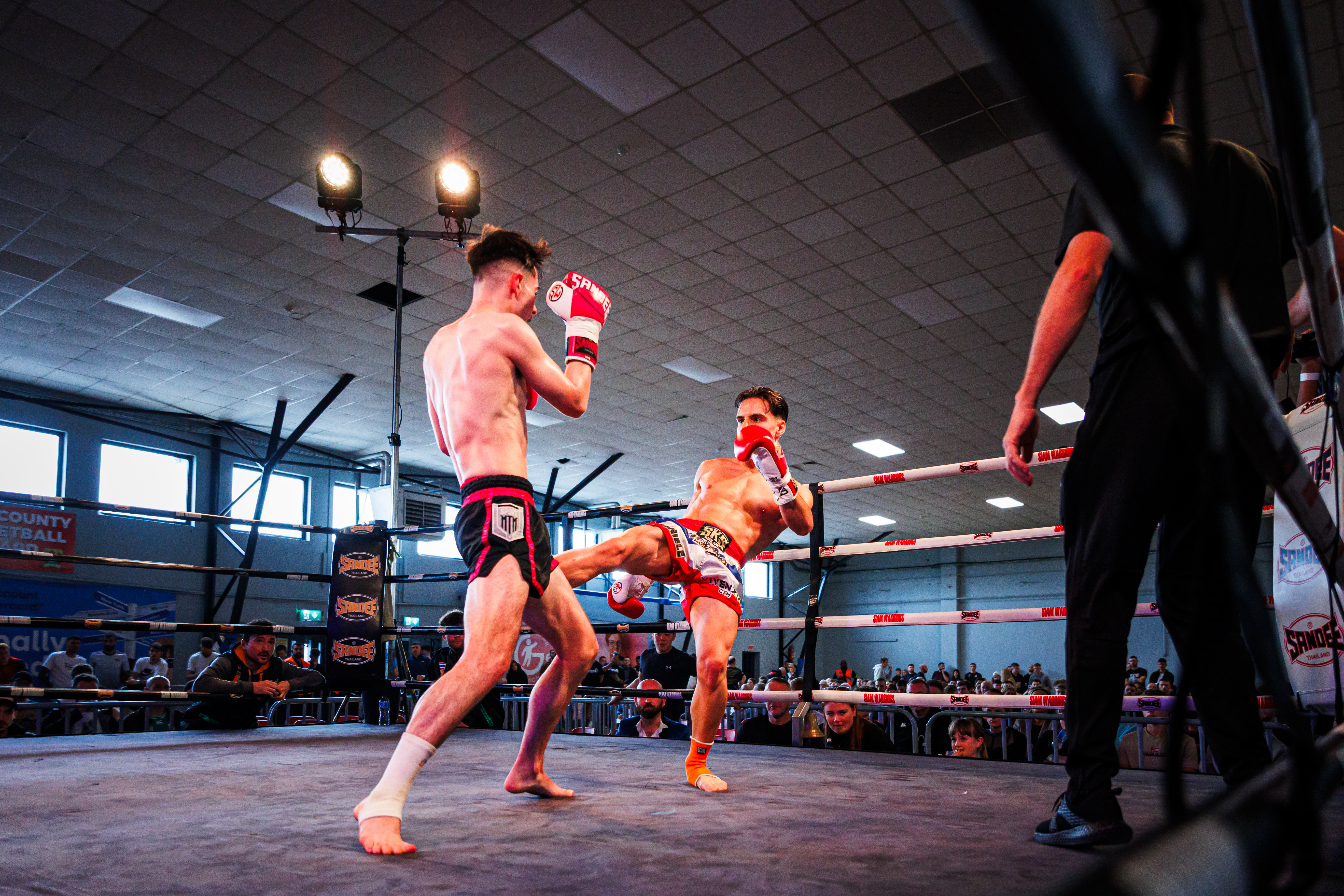 muay thai